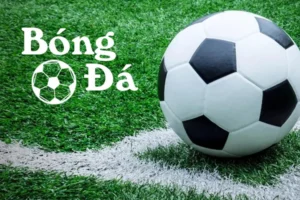 Hướng Dẫn Phân Biệt Quy Định Bóng Trong Cuộc Và Bóng Ngoài Cuộc Chuẩn