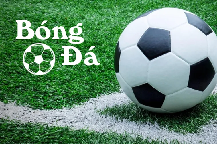 Hướng Dẫn Phân Biệt Quy Định Bóng Trong Cuộc Và Bóng Ngoài Cuộc Chuẩn 1 Hướng Dẫn Phân Biệt Quy Định Bóng Trong Cuộc Và Bóng Ngoài Cuộc Chuẩn