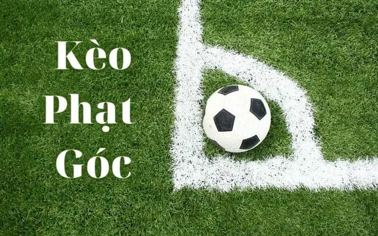 Hướng Dẫn Soi Kèo Phạt Góc Bóng Đá Và Những Lưu Ý Quan Trọng 1 Hướng Dẫn Soi Kèo Phạt Góc Bóng Đá Và Những Lưu Ý Quan Trọng