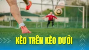 Hướng Dẫn Nhận Biết Kèo Trên Kèo Dưới Chuẩn Xác Nhất