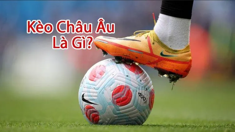 Hướng Dẫn Cách Chơi Kèo Châu Âu Hiệu Quả Cho Người Mới Bắt Đầu 2 Hướng Dẫn Cách Chơi Kèo Châu Âu Hiệu Quả Cho Người Mới Bắt Đầu