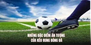 Hướng Dẫn Cách Chơi Kèo Rung Trong Bóng Đá Hiệu Quả Nhất Để Luôn Thắng